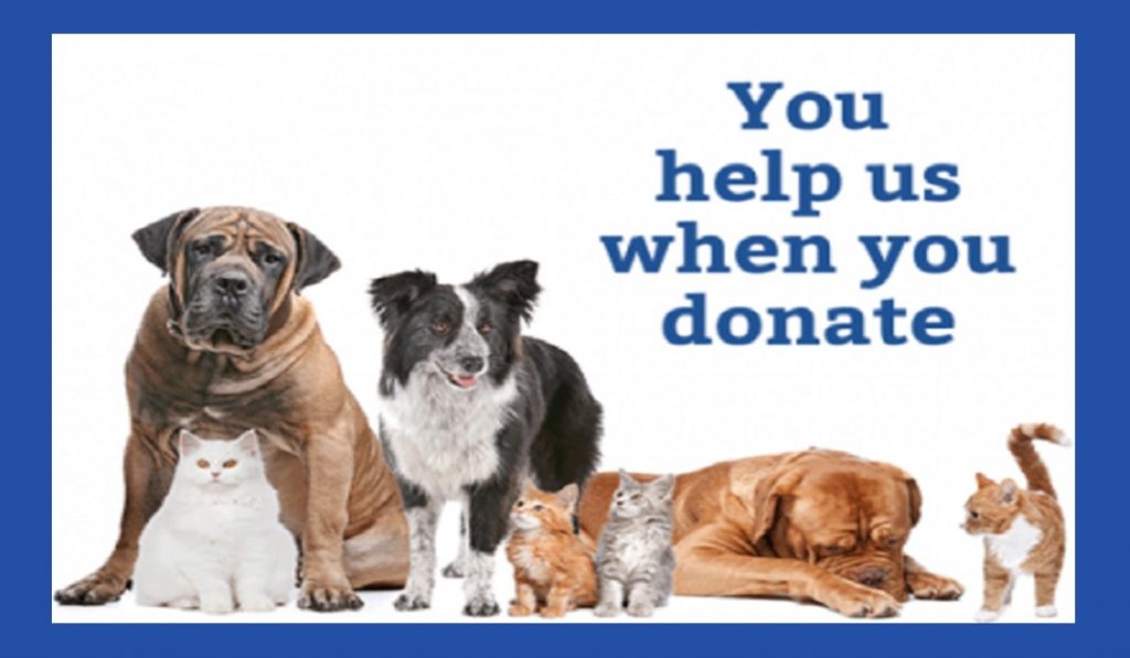 Donate to PAWS